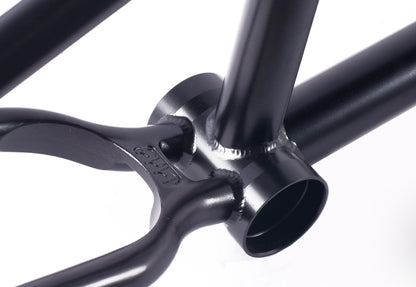 Cult Brandon Begin Heavens Gate Frame