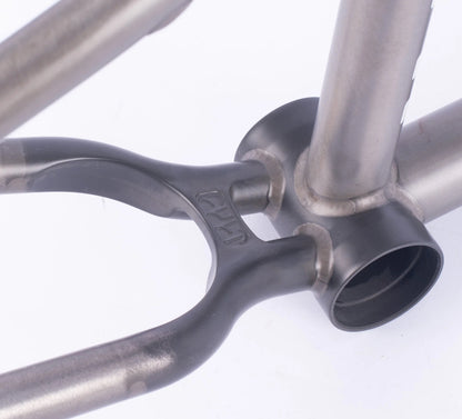 Cult Shorty Frame in Killian Roth Color way