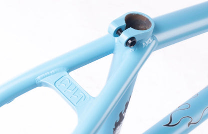 Cult Shorty Frame in High Desert Color way