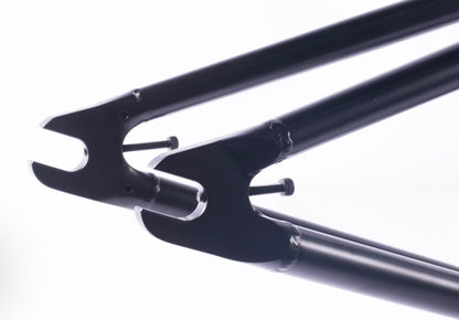 Cult Brandon Begin Heavens Gate Frame